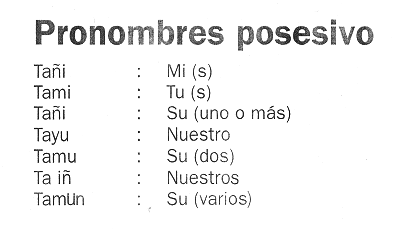Mapudungun 02, Possessivpronomen