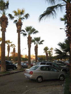 Chacabuco-Allee