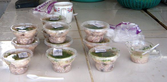 Chilenisches Ceviche, Nahaufnahme