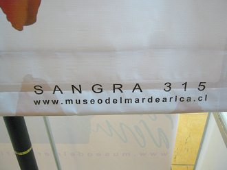 Auf dem Poster des Meermuseums
                                  mit den Meerschnecken ist auch eine
                                  Internetadresse:
                                  www.museodelmardearica.cl