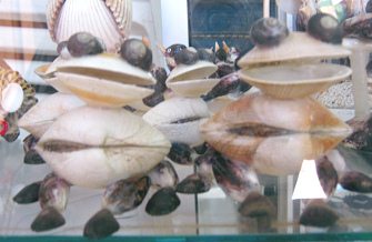 Kunsthandwerk mit Meeresmuscheln, Fr�sche