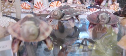Kunsthandwerk mit Meeresmuscheln,
                        Schildkr�ten