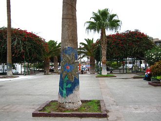 Kolumbusplatz, bemalte Palme 01