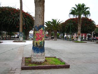 Kolumbusplatz, bemalte Palme 02
