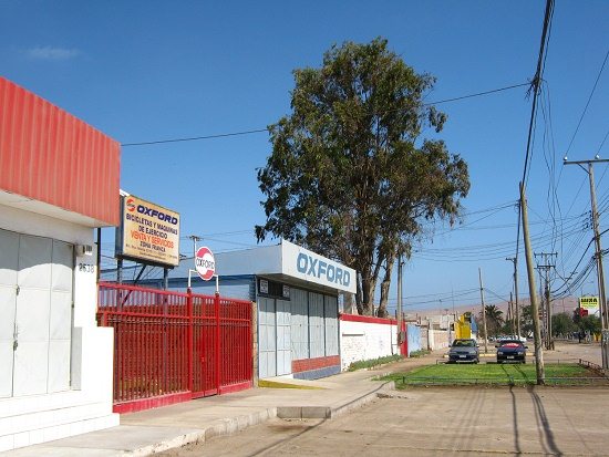 Santa-Maria-Allee, Fahrr�der der Firma
                          Oxford