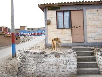 Kartoffelberg (Cerro Chu�o) in Arica,
                        Strasse 1