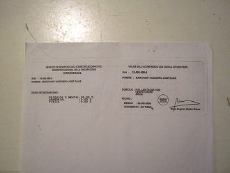 Das Testresultat von Jos� Elias mit der Angabe seiner
              geistigen F�higkeiten