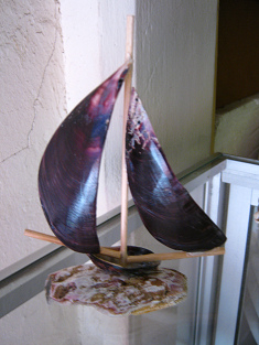Kunsthandwerk mit
                                    Meeresmuscheln im Meermuseum, ein
                                    Schiff