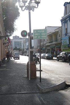 Strassenschild: "Fussg�nger sollen nur
                        bei Gr�n die Strasse �berqueren"