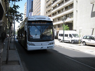 McIver-Allee, Stadtbus frontal,
                        Nahaufnahme