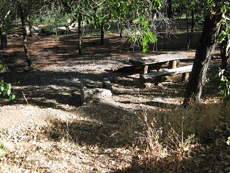 Una parrilla en la zona de pic-nic