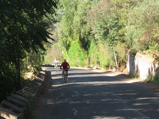 Y siempre esos / esas ciclistas subiendo