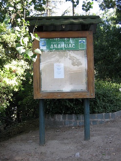 El centro cultural "Anahuac",
                          la vitrina