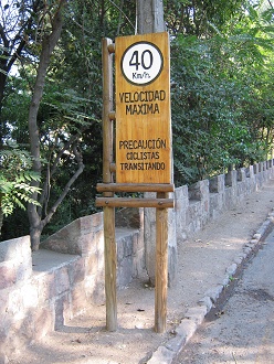 Placa de velocidad 40 Km/h, primer plano