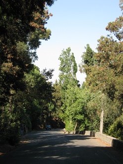 Y ahora la pista sigui� bajando