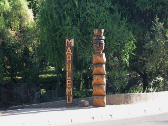 El poste tot�mico en la plazuela del
                          Jard�n Bot�nico "Mapulemu", primer
                          plano