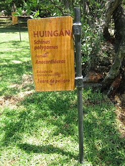 Tafel Huing�n