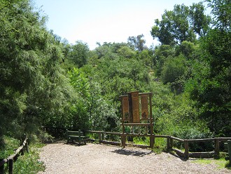 Grosse Hinweistafel auf das �kosystem
                          Wald (01)