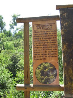 Grosse Hinweistafel auf das �kosystem
                          Wald, Text 01