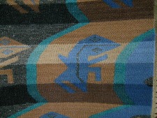 Blaue Eidechse, Nahaufnahme