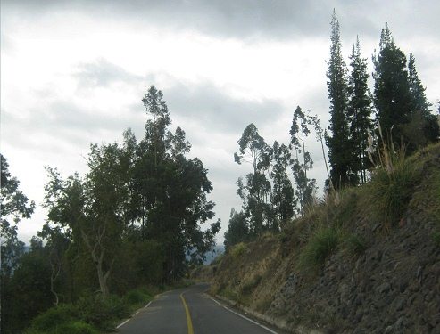 Die Strasse f�hrte nun durch ein
                          Waldst�ck einen Hang hinab