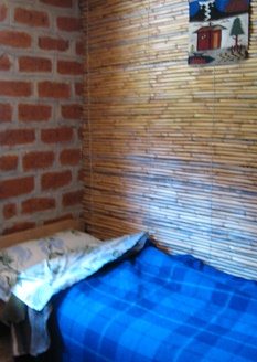 G�stebett an einer Pfahlrohr-Schilfwand
                          und an einer Backsteinwand