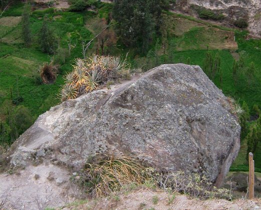 S�ngerstein, Sicht von oben 02,
                          Nahaufnahme