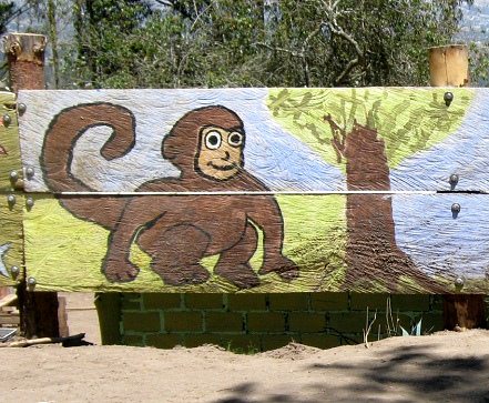 Affe,
                          Nahaufnahme