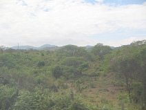 Panamericana in S�d-Ecuador zwischen
                          Huaquillas und Guayaquil, Waldwiesen mit
                          Urwaldbergen (01)