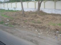 Panamericana en Ecuador del Sur entre
                          Huaquillas y Guayaquil, botadero al borde de
                          la carretera
