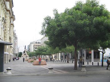 Centro de Guayaquil, zona peatonal y
                          arbolado a la Avenida Pichincha