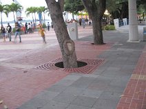 Guayaquil, malec�n 2000, reja de �rbol en
                        rojo