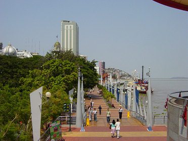 Guayaquil, el "malec�n
                                  2000" visto de un punto m�s alto
                                  del centro comercial con un panorama y
                                  vista al R�o Guayas [4]