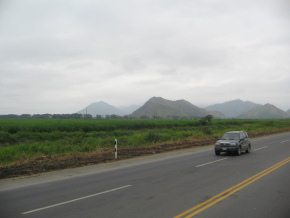 Campo con monta�as de la selva entre
                          General Pedro Montero y Puerto Inca (01)