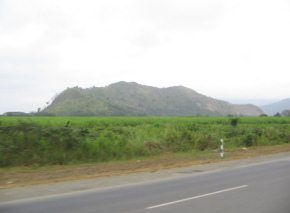 Campo con monta�as de la selva entre General Pedro
            Montero y Puerto Inca (02)