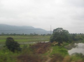 �rboles tropicales con monta�as de la
                          selva entre Gral. Pedro Montero y Puerto Inca
