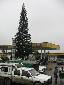 Naranjal-Machala, pasaje de un pueblo, un
                          grifo con cipr�s