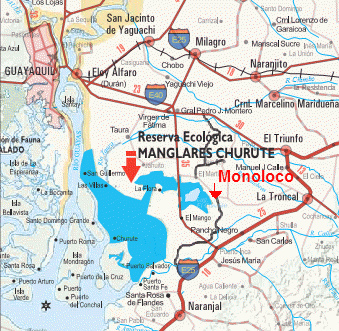 Mapa del trayecto Guayaquil-Machala con
                            la indicaci�n de la reserva ecol�gica
                            "Manglares Churute" [9]