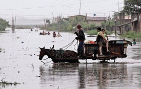 Inundaci�nes con coche de
                                      caballos en febrero 2008 en
                                      Milagro