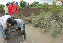Campos inundados cerca de Naranjal,
                              enero 2009