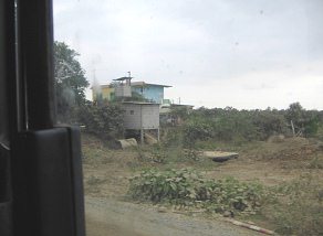 Panamericana entre Machala y Huaquillas,
                          otra casa en columnas (palafito)