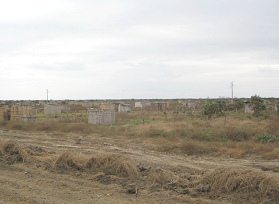 Panamericana entre Machala y Huaquillas,
                          cabinas de madera (02)
