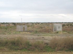 Panamericana entre Machala y Huaquillas,
                          cabinas de madera (04)