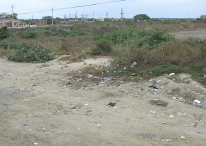 Panamericana entre Machala y Huaquillas
                          cerca de la frontera del Per� y Ecuador,
                          basura al borde de la carretera