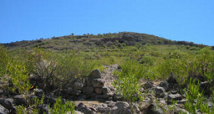 H�hle Pikimachay / Piqimachay /
                        Piquimachay, Eingang, Foto Nr.1