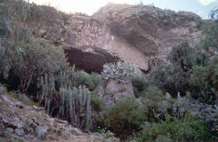 H�hle Pikimachay / Piqimachay /
                        Piquimachay, Eingang, Foto Nr. 3