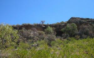 H�hle Pikimachay / Piqimachay /
                            Piquimachay, Eingang, Foto Nr.2