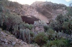 H�hle Pikimachay / Piqimachay /
                            Piquimachay, Eingang, Foto Nr. 3