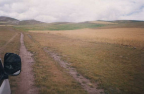 Country road, ditch, corn field and panorama