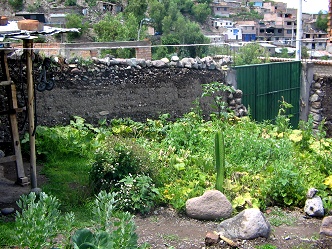 Gem�segarten 01